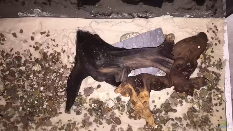 Hardscape rechts von Fäbi_CH (4)