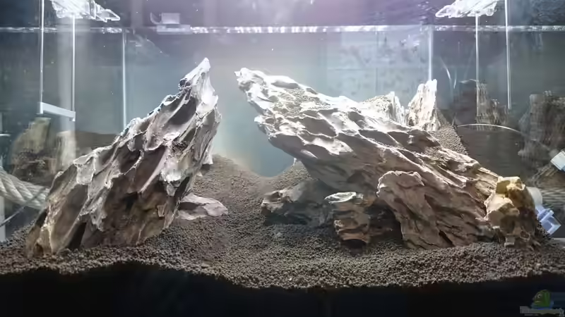 hardscape soil von Helle (9)