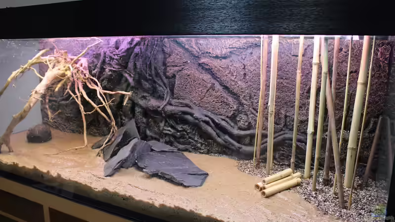 Hardscape steht von Wabi (12)
