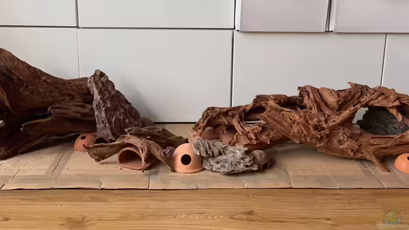 Hardscape v1 - von vorne von Princess Nala (1)