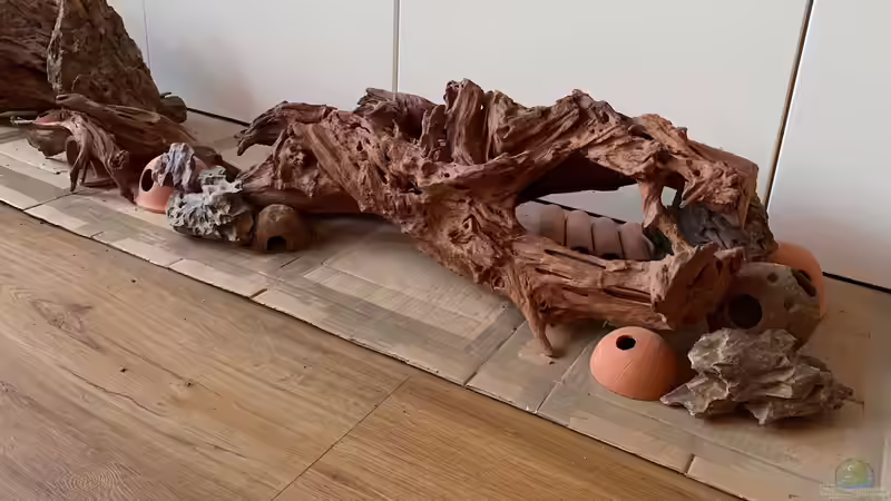 Hardscape v1 u. v2 - rechte Seite von Princess Nala (5)