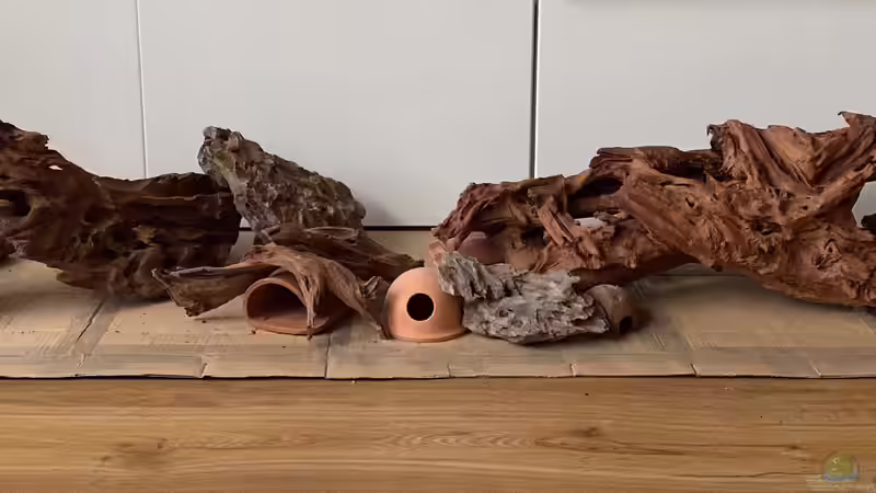 Hardscape v2 - von vorne von Princess Nala (3)