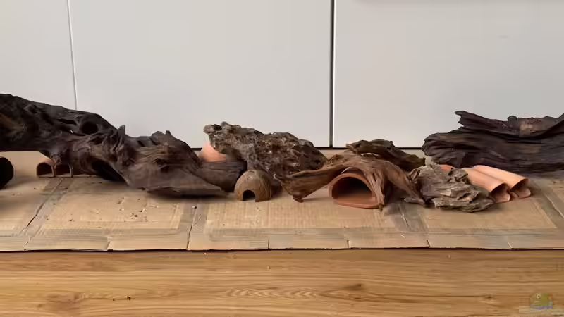 Hardscape v3 - von vorne von Princess Nala (6)