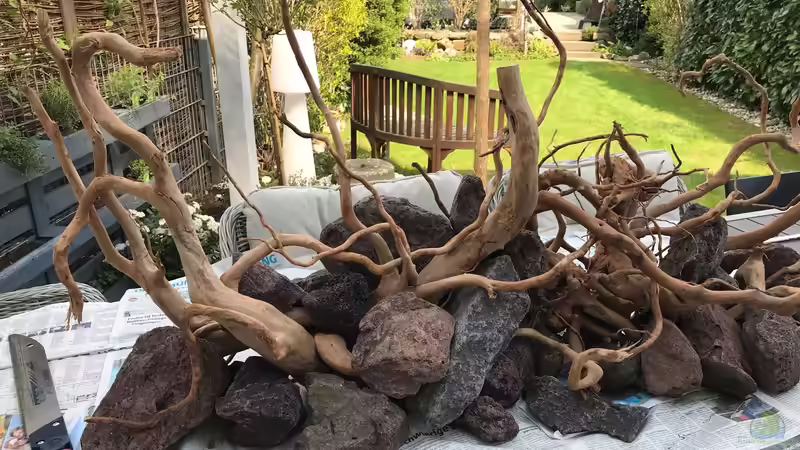 Hardscape Versuch von Der Nicky (15)