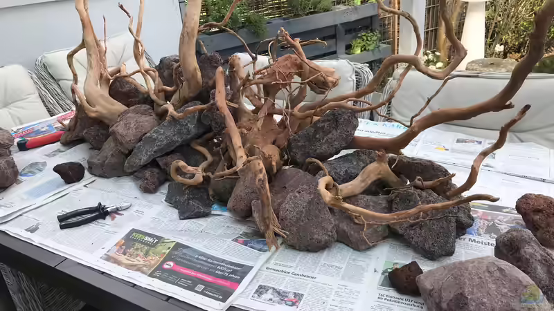 Hardscape Versuch von Der Nicky (16)