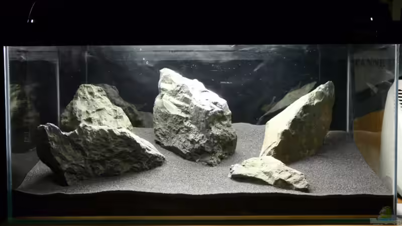 Hardscape vom 27.02.2010 von Leinad78 (1)