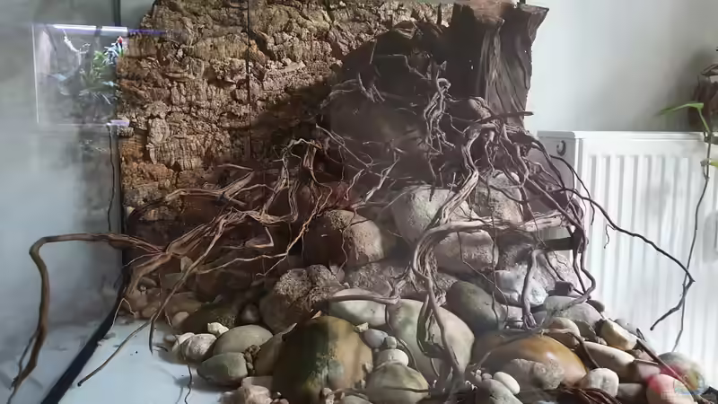 Hardscape von Aqua fan (5)