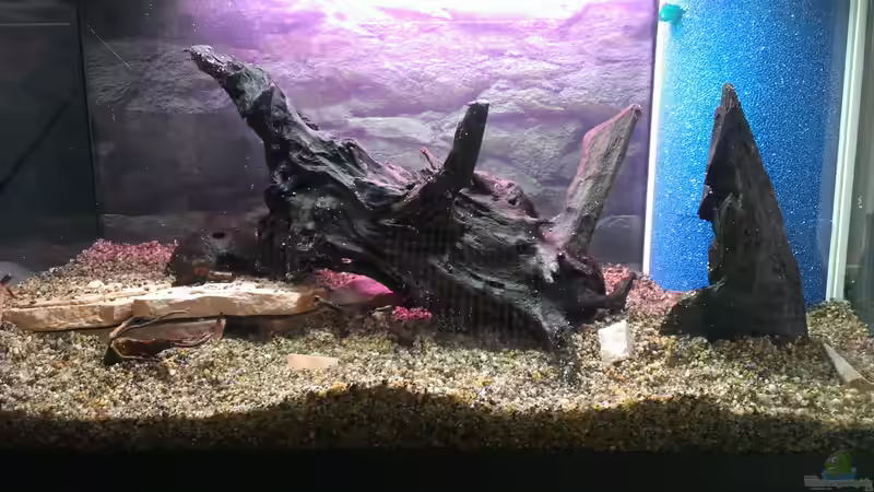 Hardscape von bocap (4)