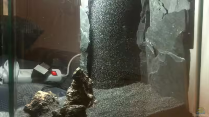 Hardscape von der Seite (noch ohne Wurzel) von M to the ilan (37)