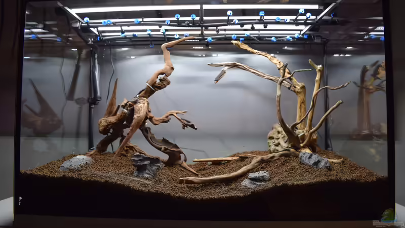 Hardscape von Junglist (17)