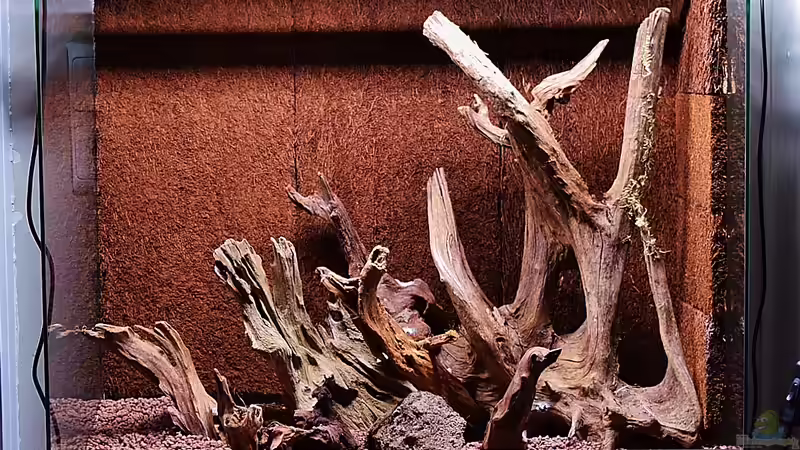 Hardscape von Junglist (17)