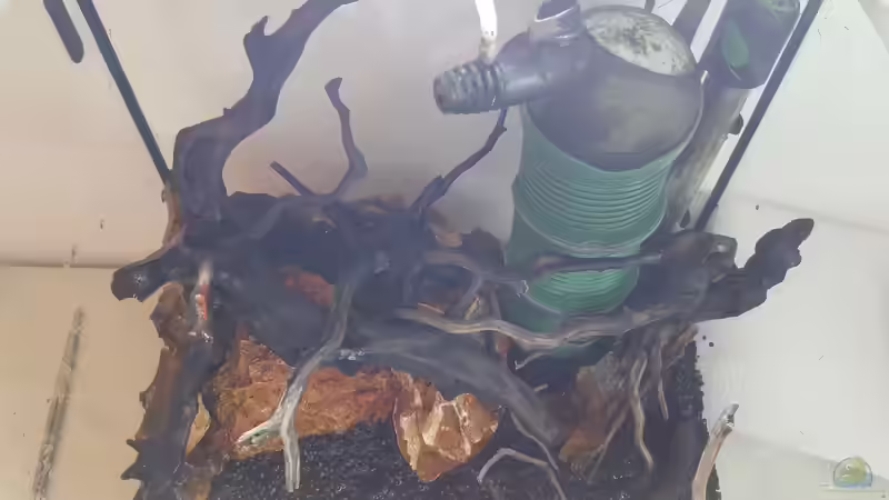 Hardscape von Krabbi (10)