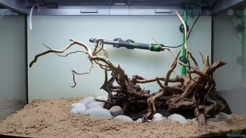 Hardscape von Martin W. (21)
