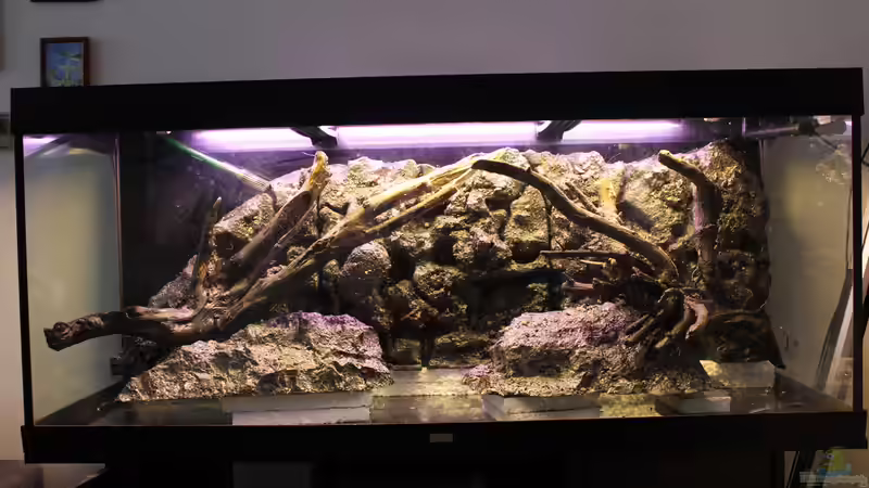 Hardscape von maxheadroom (33)