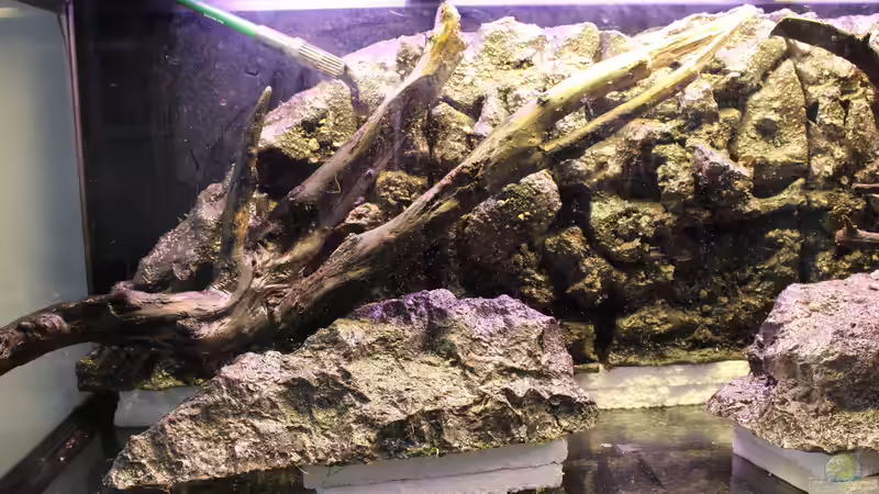 Hardscape von maxheadroom (35)