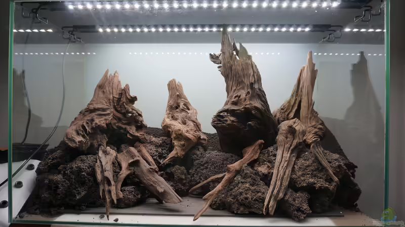 Hardscape von Micha... (58)