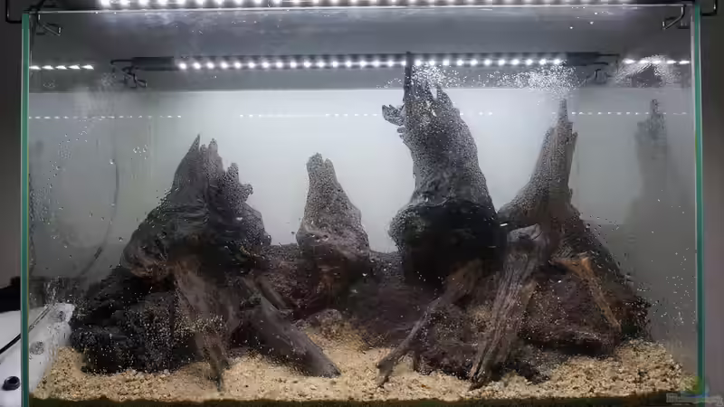 Hardscape von Micha... (59)