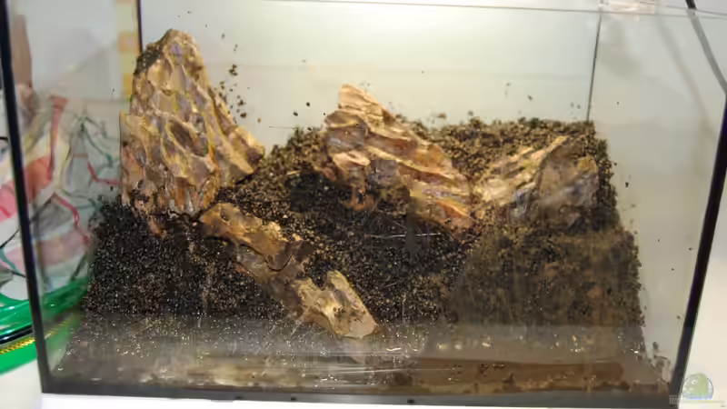 Hardscape von Michael Seraph (3)