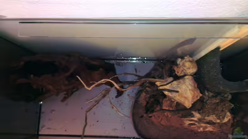 Hardscape von oben von Der Sebastian (4)