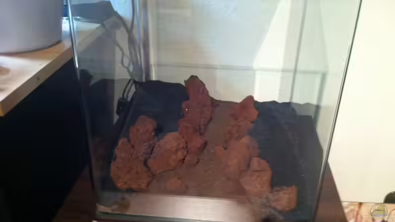 Hardscape von Tipfen (3)