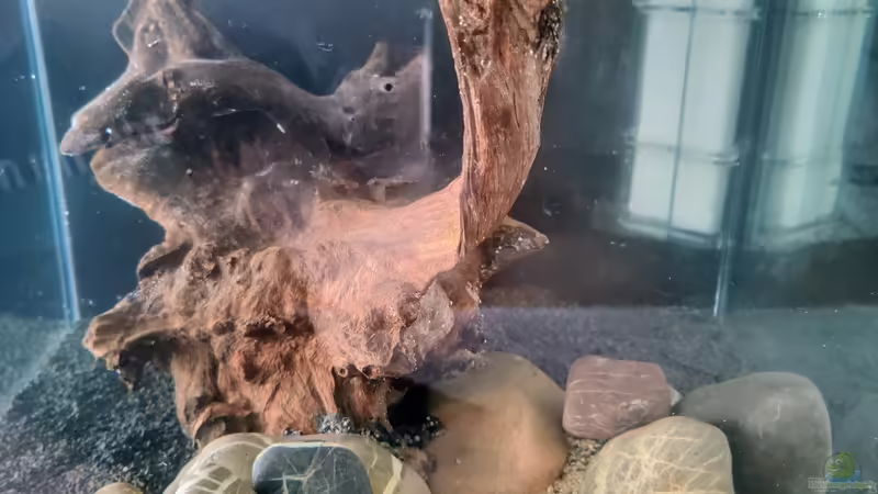 Hardscape von Tobes (11)