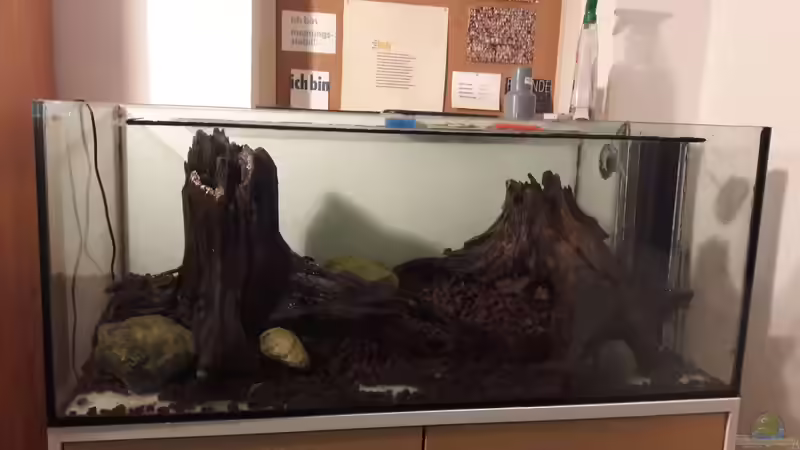 Hardscape von Vitus Vitus (4)