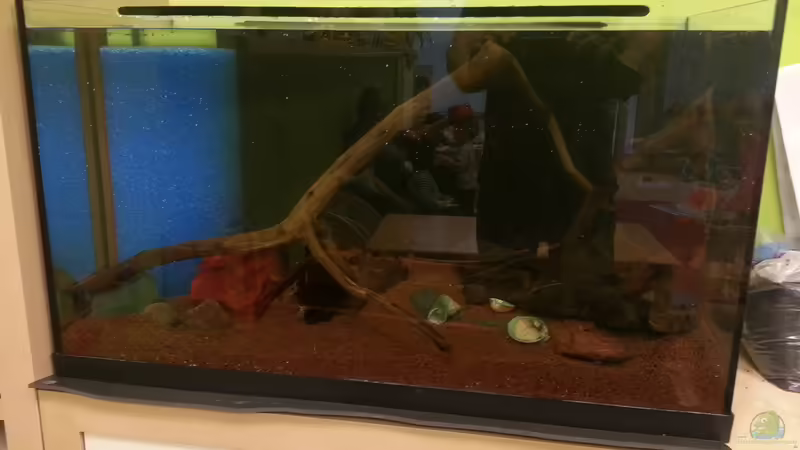 Hardscape von Zomic (6)