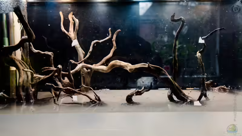 Hardscape zwischenstand... am Ende wird es dann doch anders ;)  von Betta Chris (6)