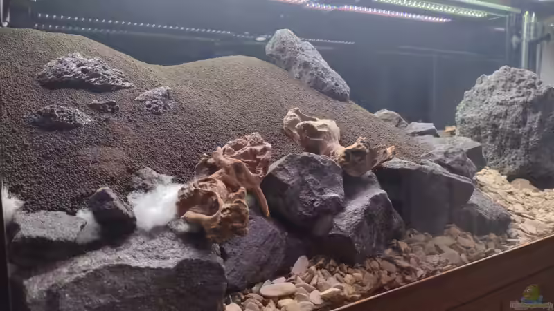 Hardscapeaufbau v. 25.12.2023 von C-NA (3)