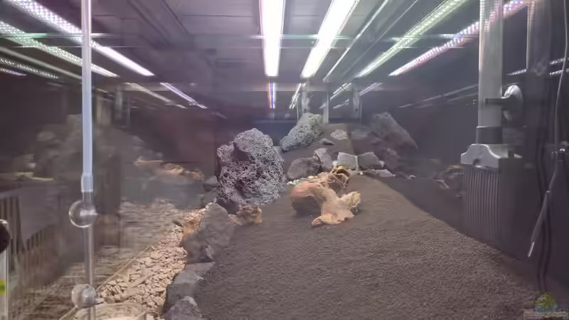 Hardscapeaufbau v. 25.12.2023 von C-NA (4)