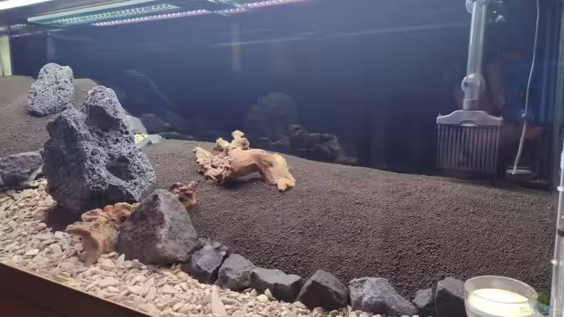 Hardscapeaufbau v. 25.12.2023 von C-NA (5)