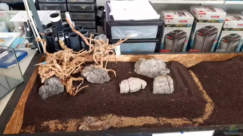 Hardscapeversuch von Der Nicky (48)