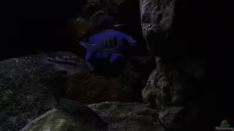 Harmonie von Florian Bandhauer (22)