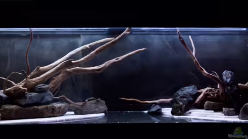 Hartscape von -Der Österreicher- (9)