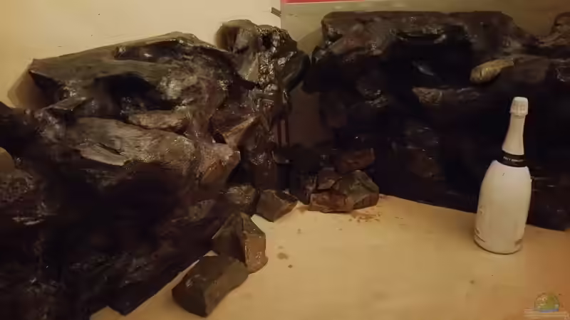 Harz ist drauf von wadde (25)