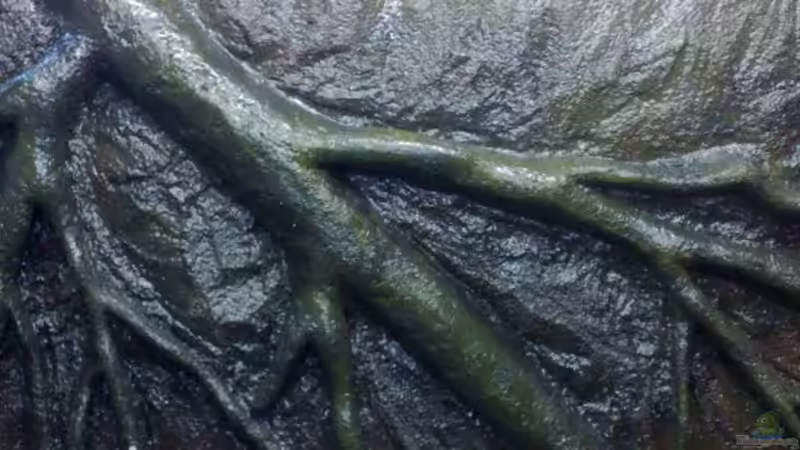 harz trocken von Kai Stephanides (10)