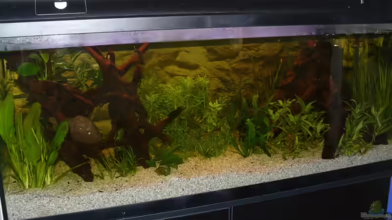 Hatte noch keine Zeit für gute Bilder.... Ist nur für den ersten Eindruck ^^ von Ralf Schmitz