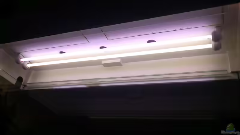 Haube von innen von Christian Kleinhenz (17)