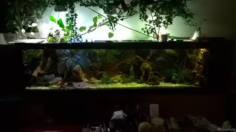 Haupansicht von Lars Ascher (19)