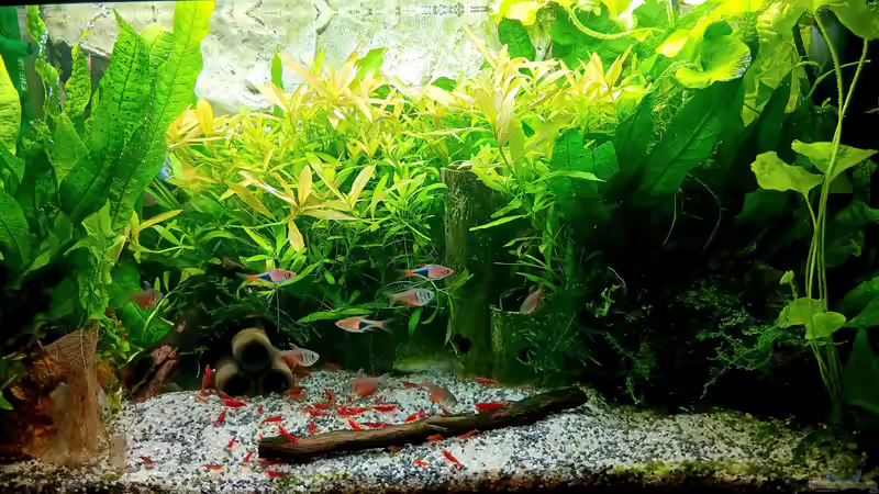 Haupt-Ansicht stand 29.12.23  von odin 68 (26)