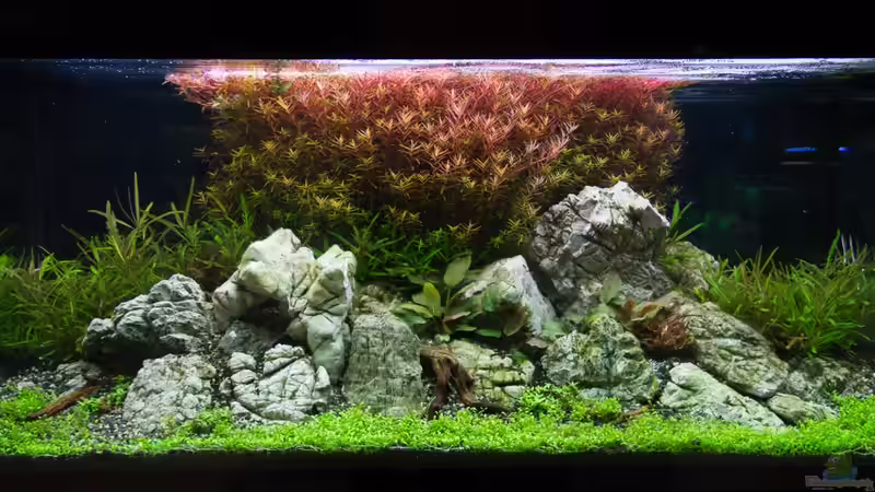 Hauptansicht - 02.11.2013 von Koelle-Zoo (3)