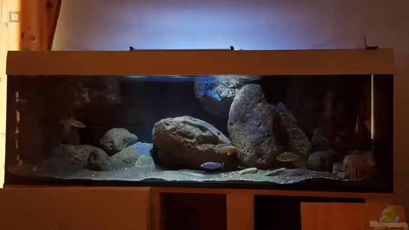 Hauptansicht - 06.07.2015  von Simon Maurer