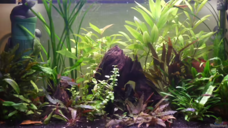 Hauptansicht 05.04.2011 von Ray1975 (1)