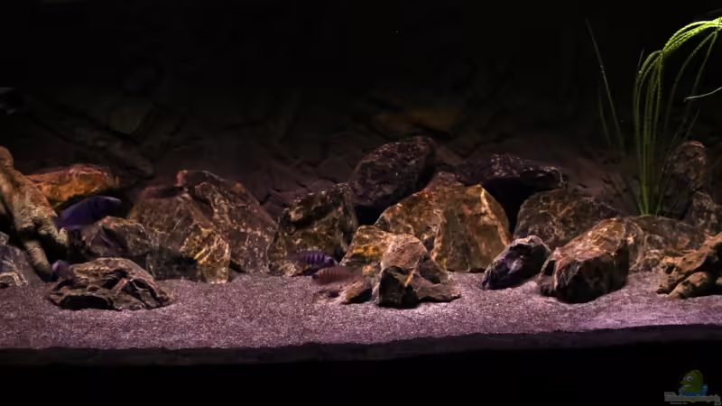 Hauptansicht 13.01.2012 von die Perle... (1)