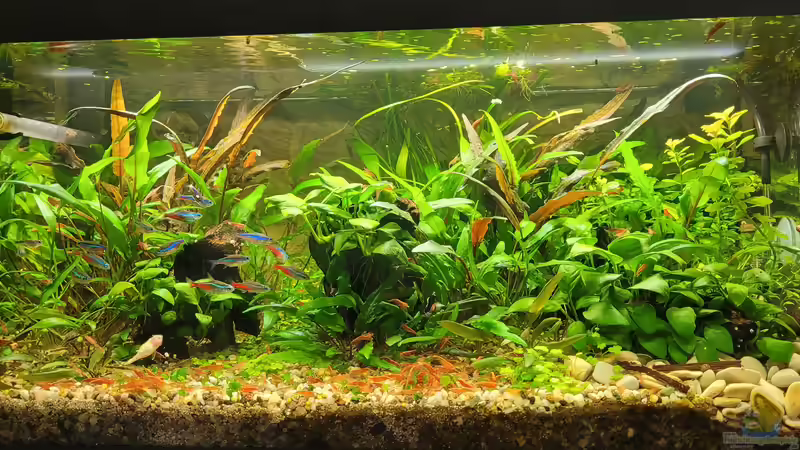 Hauptansicht 14.02.2023 Hauptansicht 14.02.2023