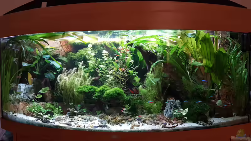 Hauptansicht 16.05.2016 von Thomas Müller (6)