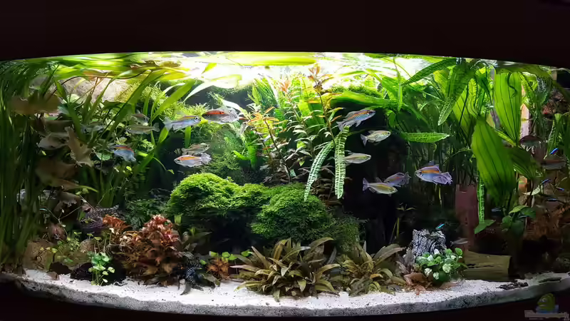 Hauptansicht 16.09.2016 von Thomas Müller (3)