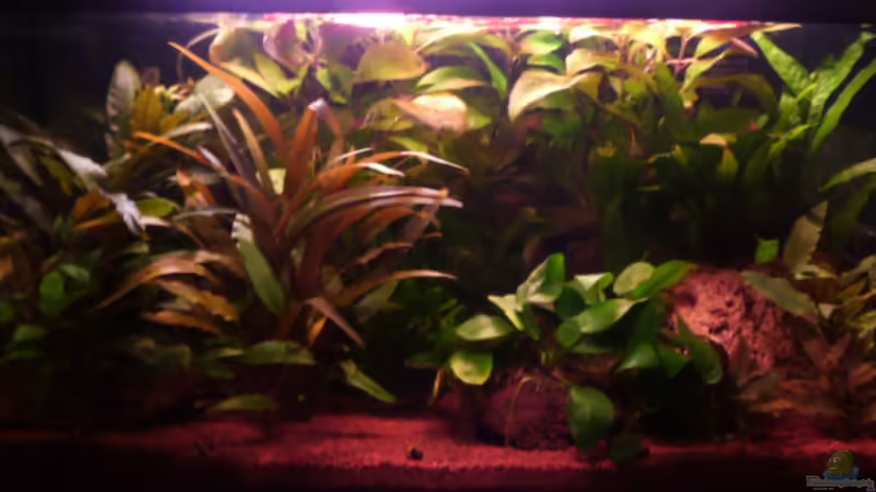 Hauptansicht 2 15.02.2011 von Ray1975 (5)