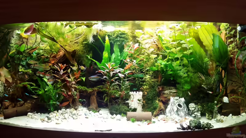 Hauptansicht 21.02.2016 von Thomas Müller (12)