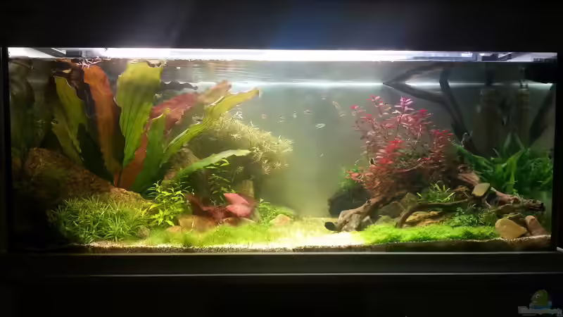 Hauptansicht 21.10.15 von Jonas (Trancemania) (3)